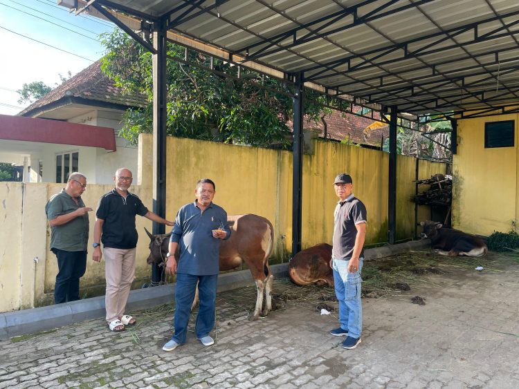 Panitia pelaksana Qurban Golkar Jambi menerima penyerahan hewan Qurban. FOTO: IST